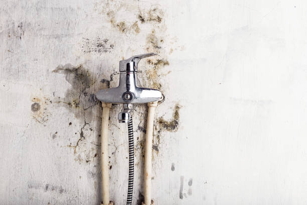 Best Mold Testing  in Prairie Du Sac, WI